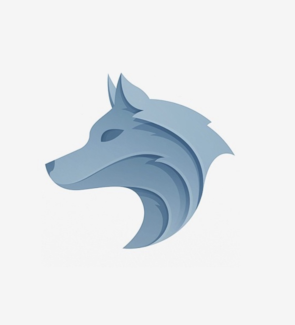 המעז מנצח | כושר קרבי - מיתר